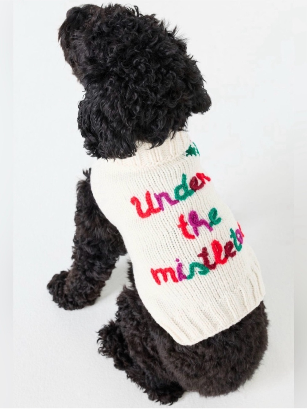 Anthropologie Chilly Dog “Under the Mistletoe” Hand Knit Dog Sweater Holiday